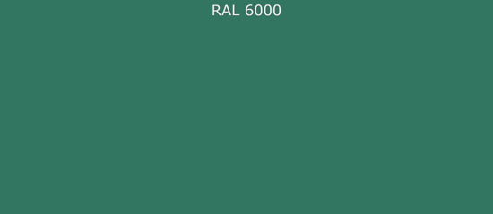 Краска аэрозольная по RAL «VESTA 6000» цвет Патиново-зелёный - 520 мл. (коробка - 12 баллонов)